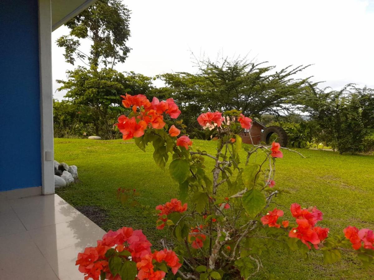 Casa De Campo Heliconia La Fortuna Esterno foto